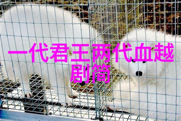 越剧龙凤镯
