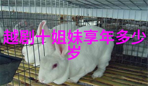 1988年