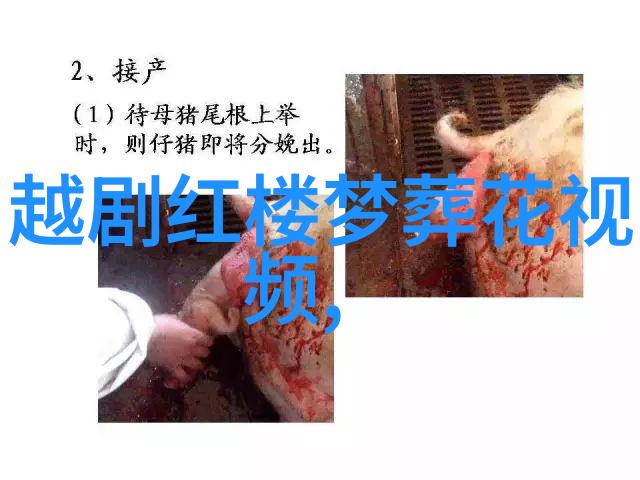 越剧龙凤花烛